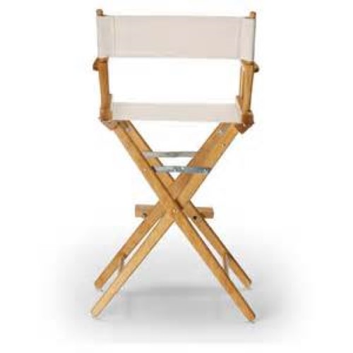 Rental store for director chair in STOREAREA2